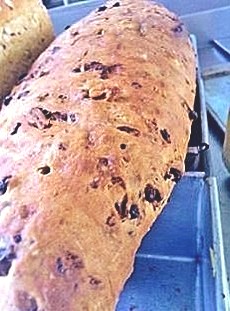 raisin bread